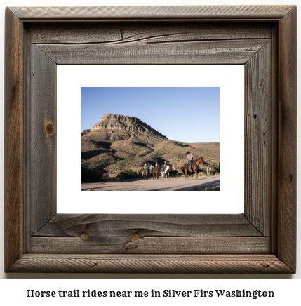 horse trail rides near me in Silver Firs, Washington